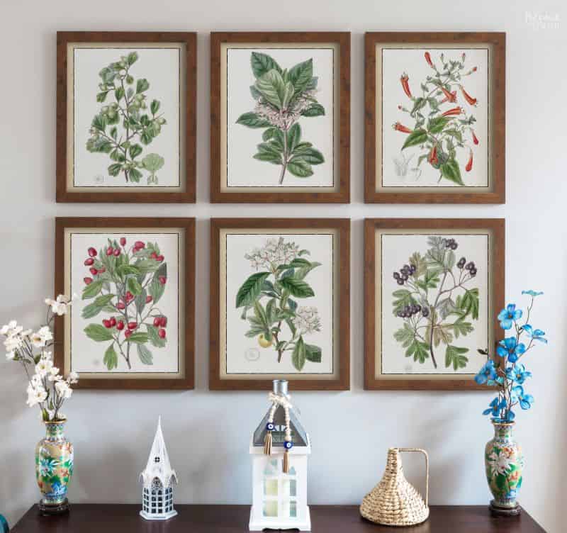 Set of 6 colored paintings of plants