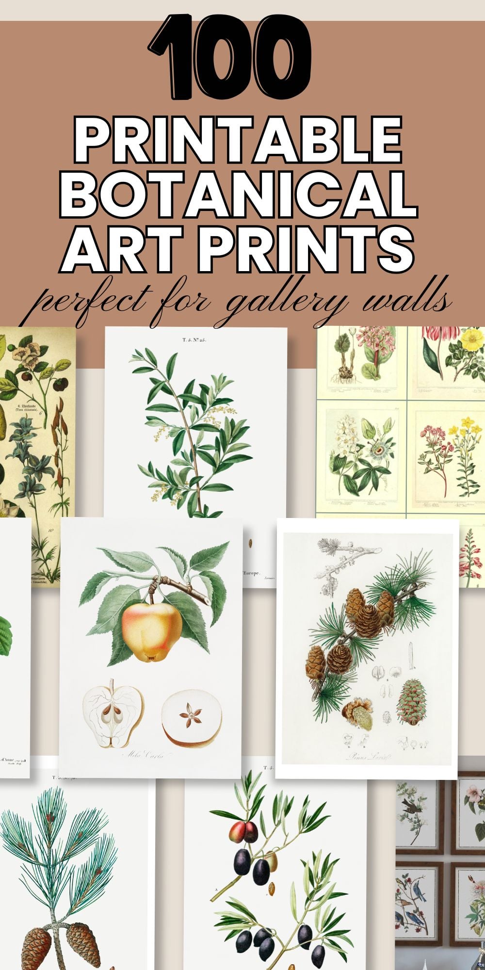 100+ Free Botanical Art Prints You Can Download and Print