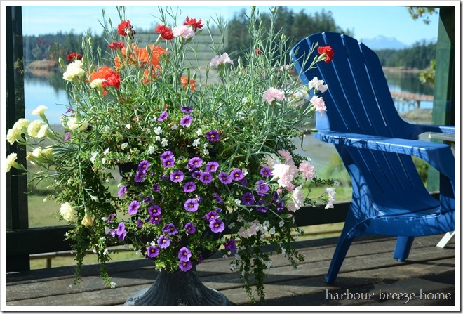 Summer Flowers 2