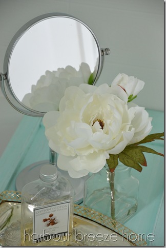 bathtub tray