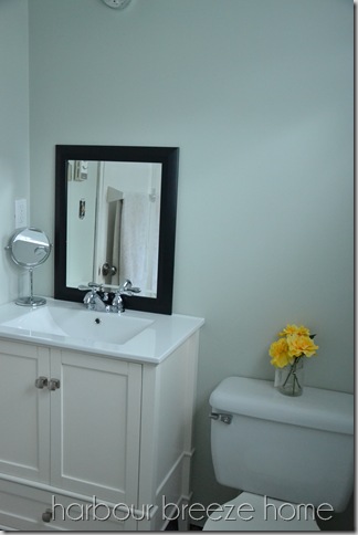 vanity in