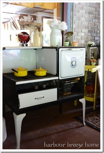 outdoor woodstove