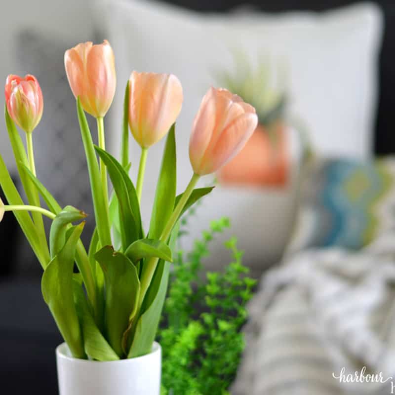Easy Budget Tips to Brighten Your Home This Spring