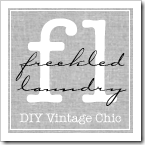 freckled laundry button