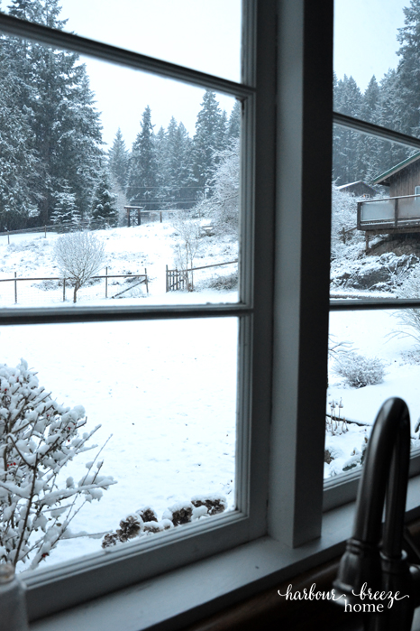 Winter Wonders at Bildirimlerim