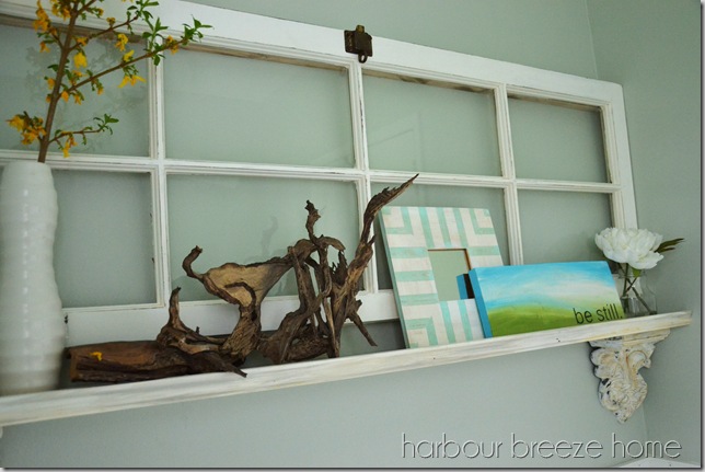 shelf closeup ps