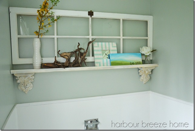 tub and shelf ps