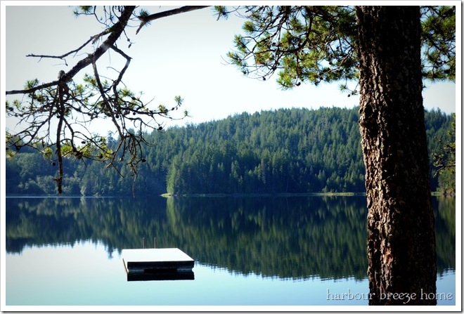 the morning lake