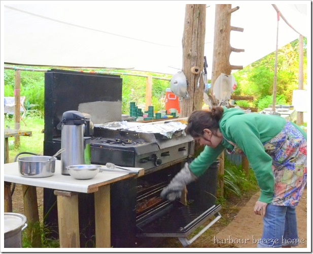 stove