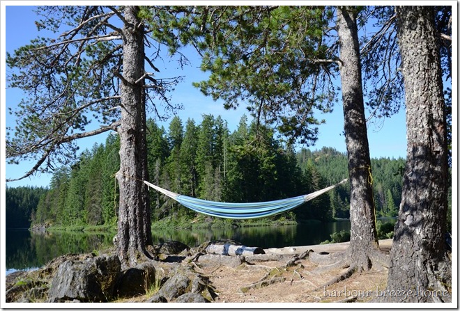hammock