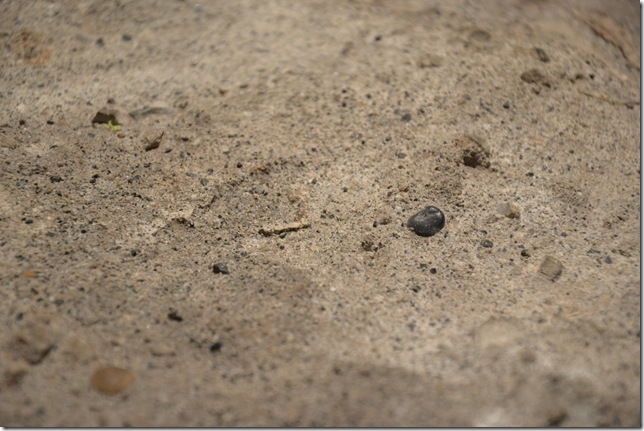 cement floor