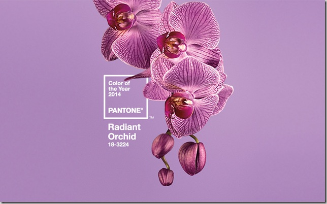 Delicate Floral Styles for Your Home