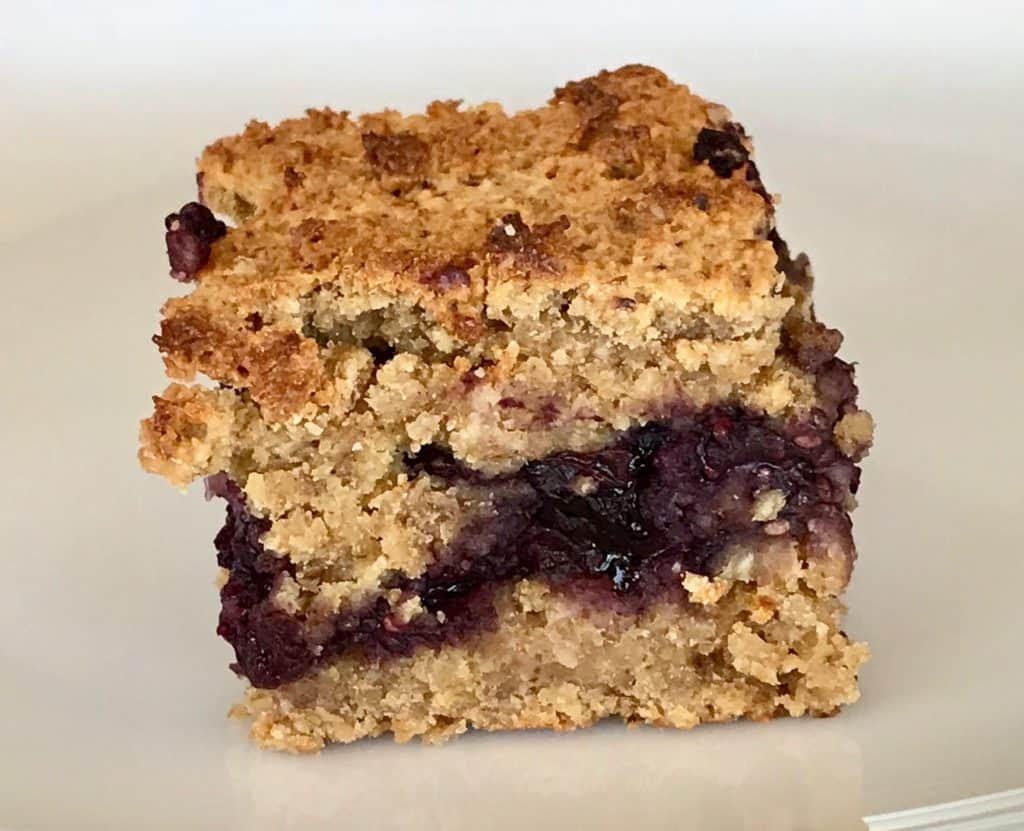 Image for Healthy Blueberry Crumble Bars - Debra Klein | Health & Wellness Coach