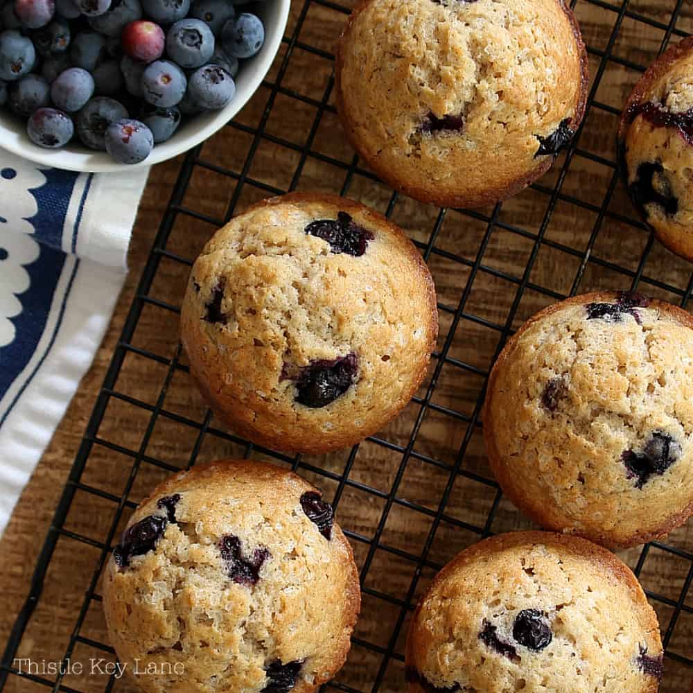 Image for Basic Blueberry Muffin Recipe With Gluten Free Options