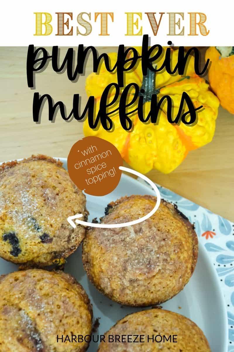 Pumpkin Muffins with Berries & Streusel Topping