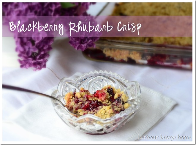 Delicious Blackberry Rhubarb Crisp Recipe