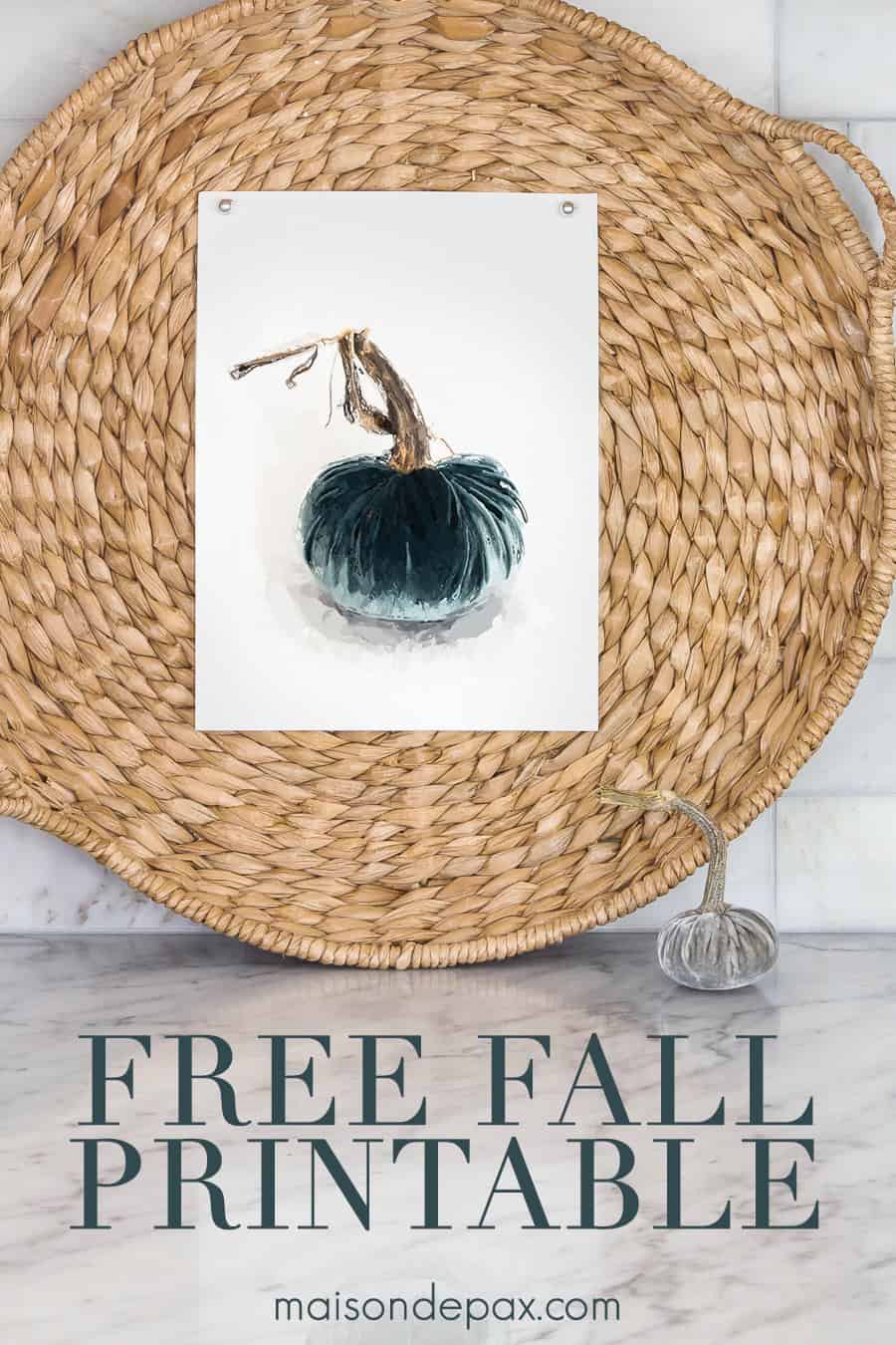 a free printable of a blue velvet pumpkin