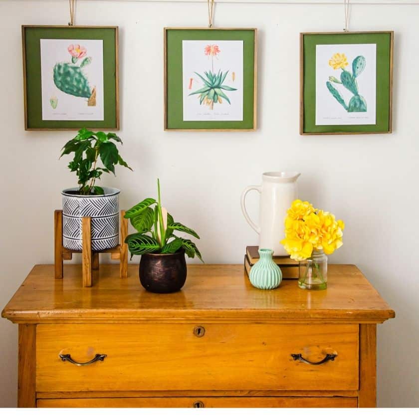 Complimentary Botanical Cactus Wall Art Printables for Home Decor