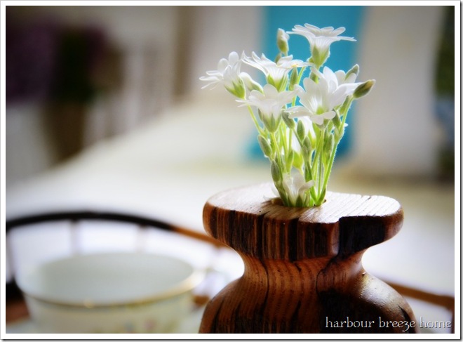 little white flowers