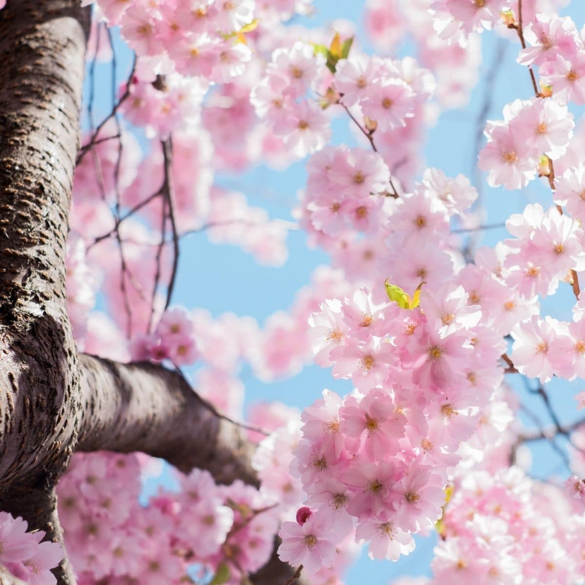 Easy Breezy Weekend Reads – Sweet Finds Online