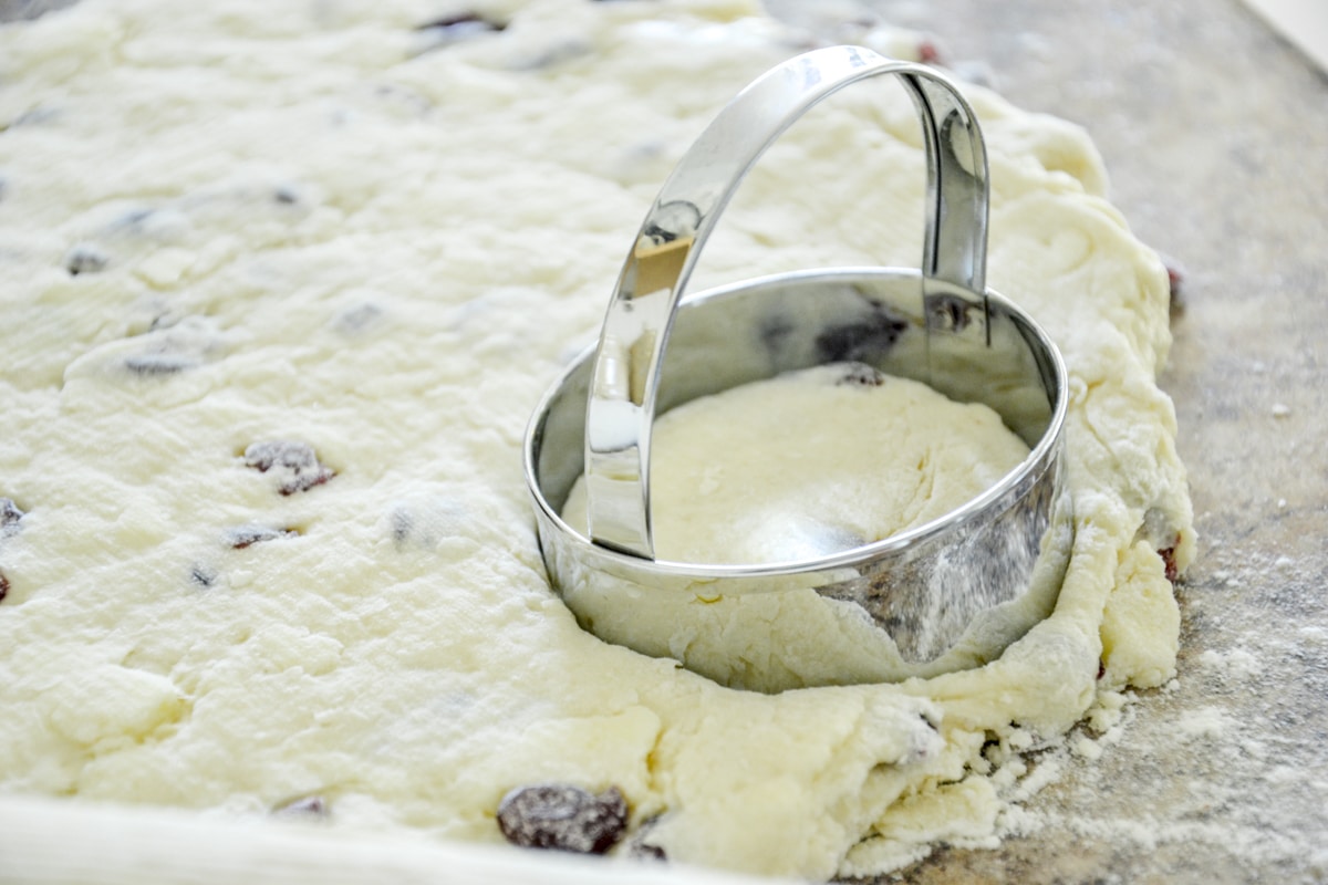 A biscuit cutter in rolled out cranberry scone dough.