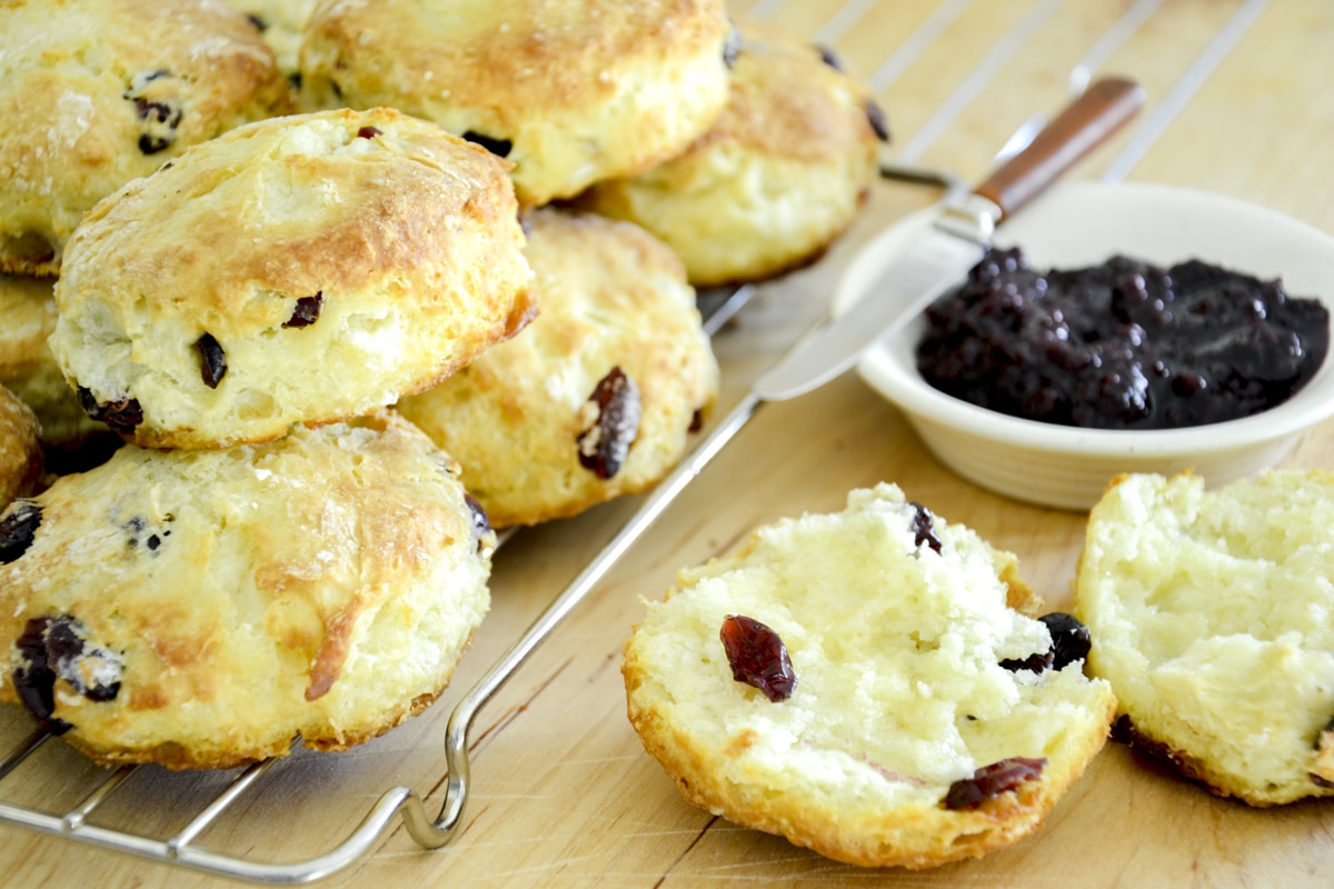 A batch of buttermilk cranberry scones piled up with a single scone ready to be buttered beside.