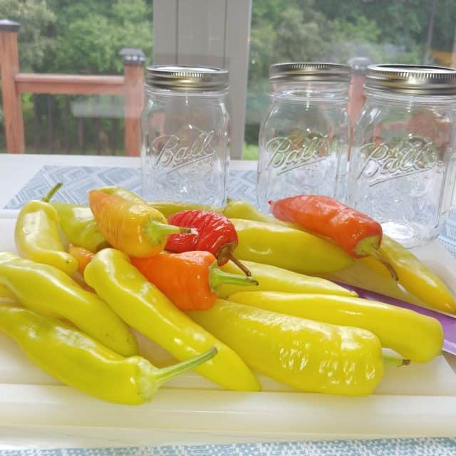 Image for Easy Pickled Banana Peppers [And How to Grow Your Own!]