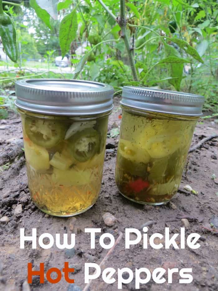 Image for How To Pickle Hot Peppers
