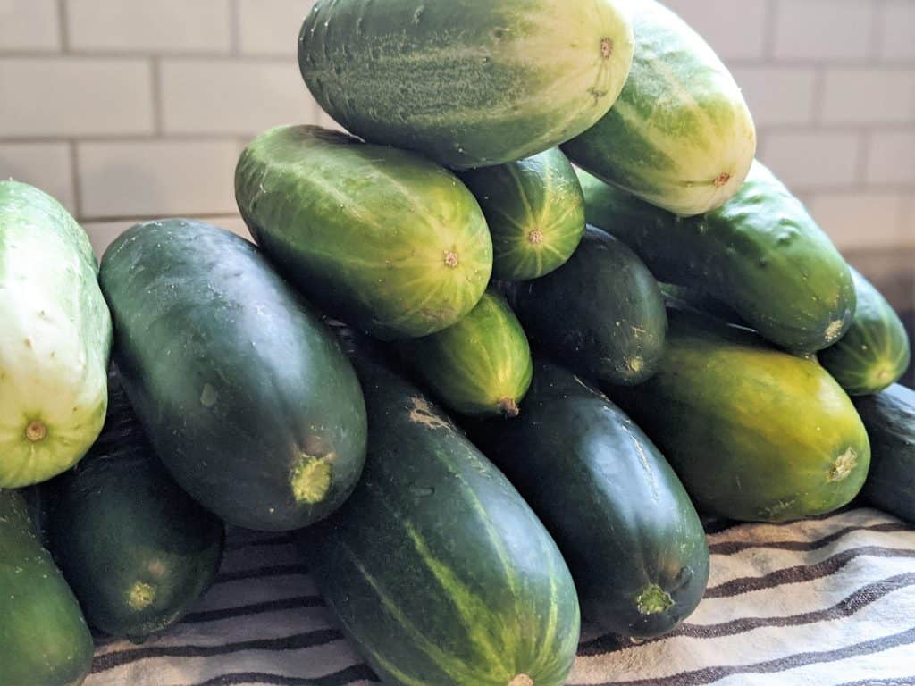 Image for Easy-Peasy Refrigerator Pickles