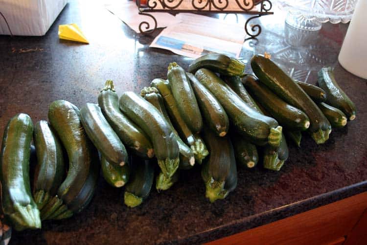 Image for Recipes for Canning Zucchini Part II: How to Deal with Zucchini Overload
