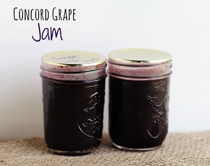 Image for Concord Grape Jam