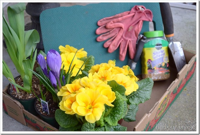 flowers and tools