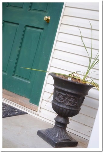 Spring Blooms: Create a Living Arrangement