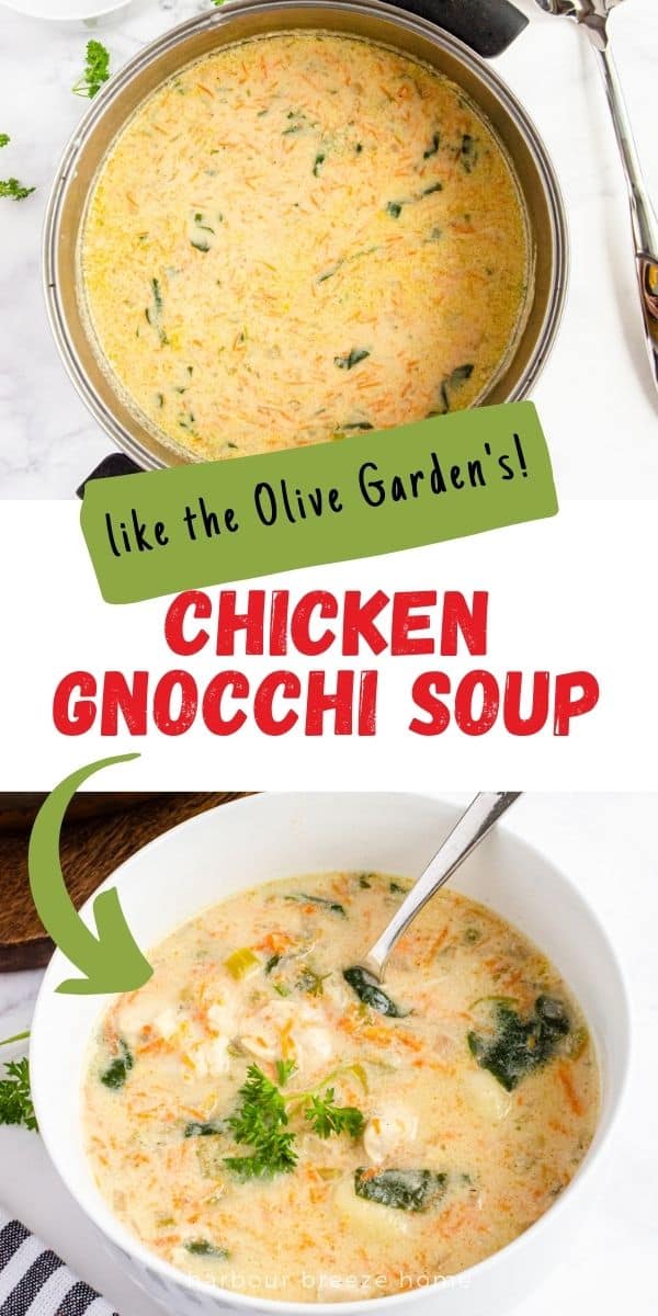 Chicken Gnocchi Soup recipe - like the Olive Garden's