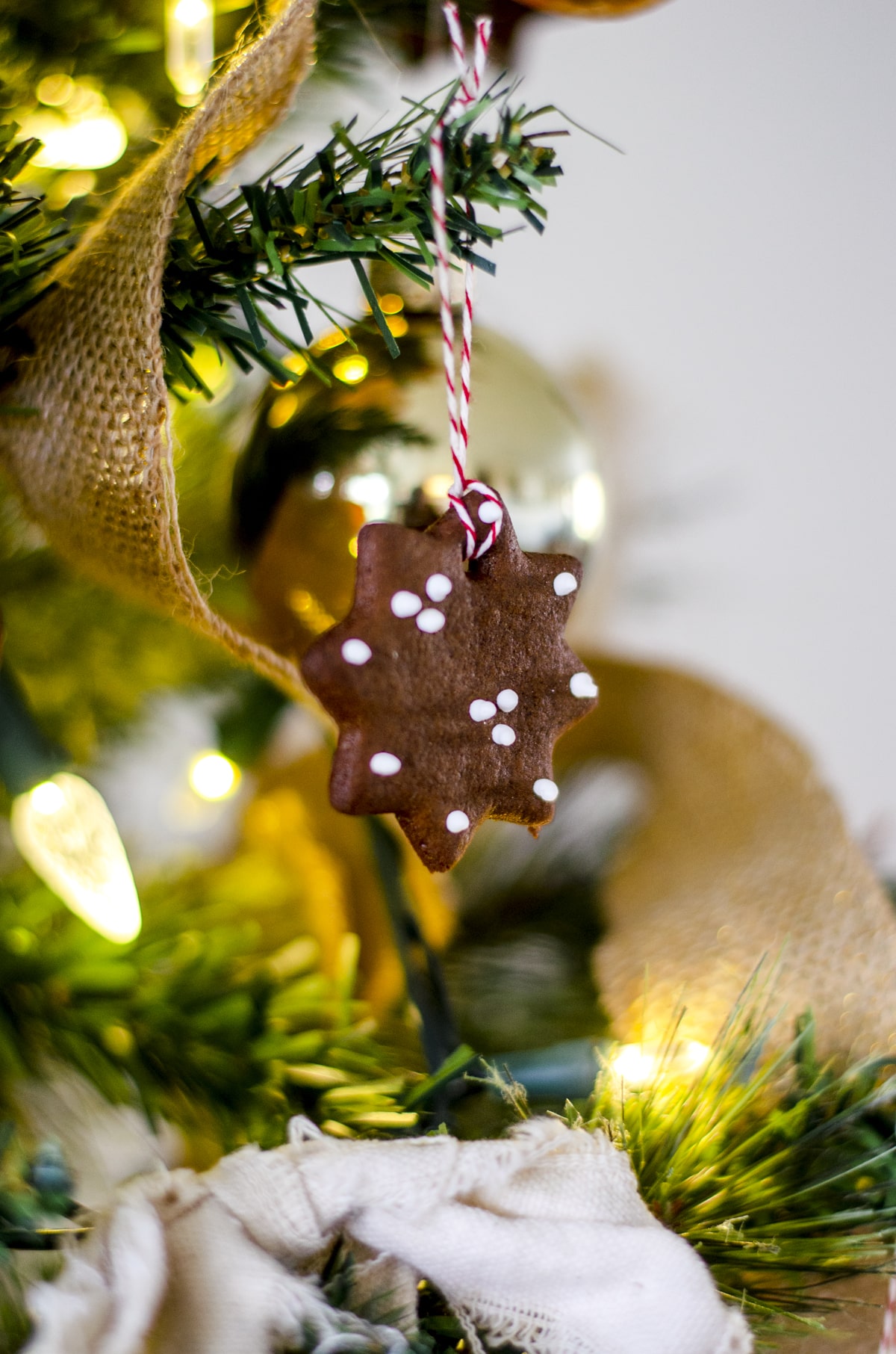 From Fir to Fabulously Fake: Tips to Choose the Perfect Christmas Tree