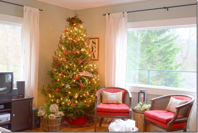 From Fir to Fabulously Fake: Tips to Choose the Perfect Christmas Tree