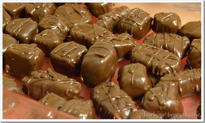dipped chocolates
