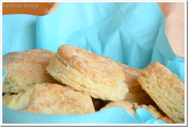biscuits