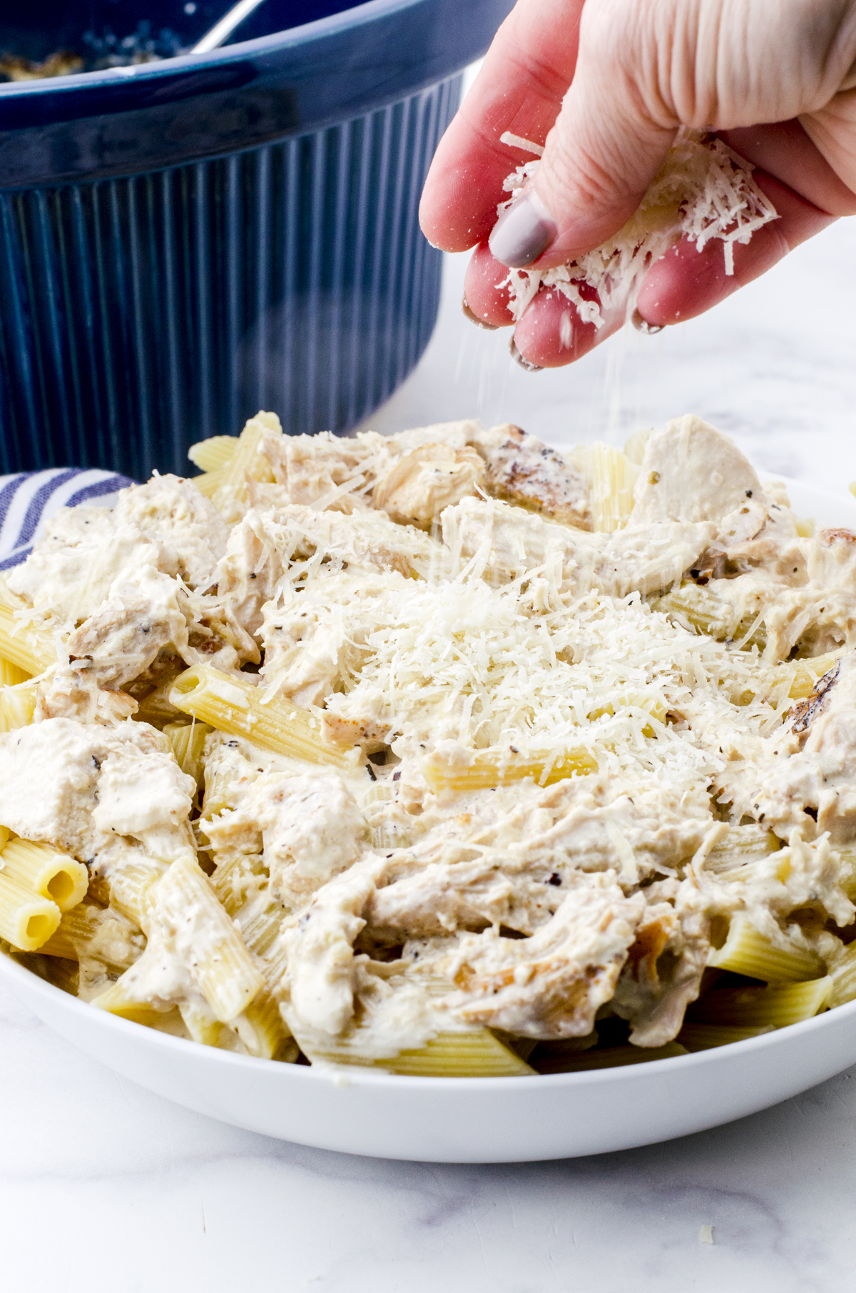 Crock pot chicken alfredo poured over a bed of cooked penne noodles.