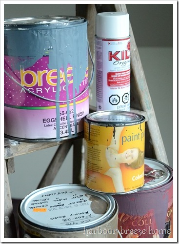 Selecting Your Perfect Wall Hue