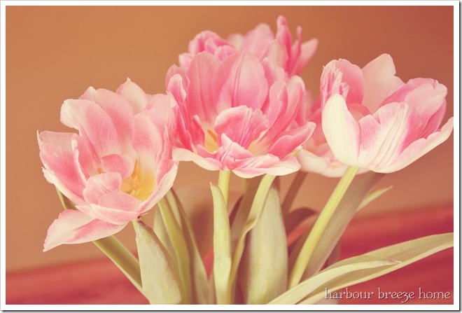 Vibrant Hues in Everyday Life