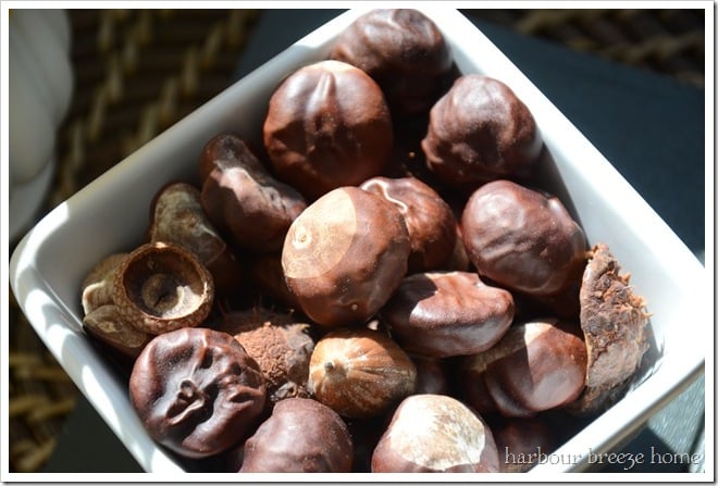 bowl of chestnuts