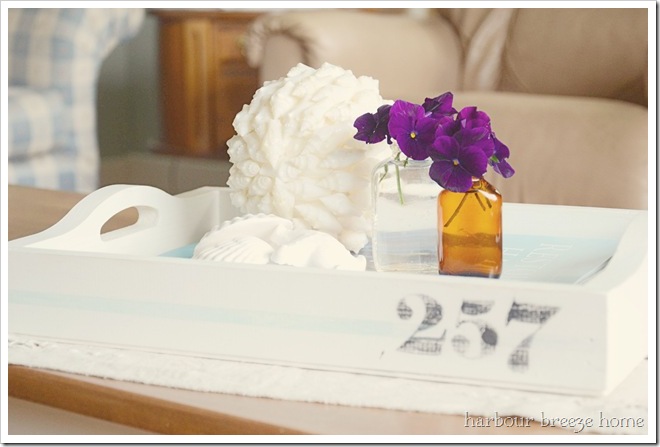 pansies and tray ps