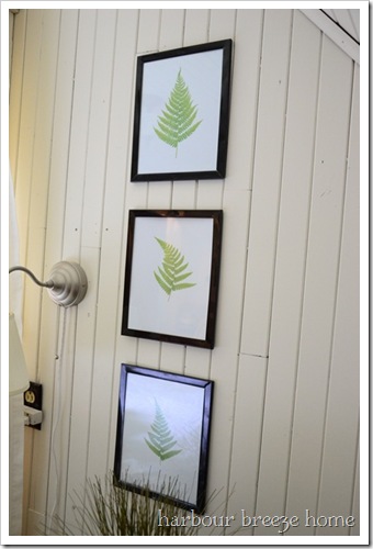 3 framed fern leaf printings hung on a shiplap wall