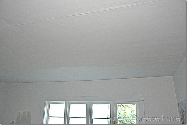 a little ceiling primer
