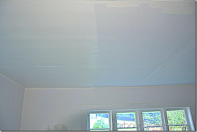 ceiling paint