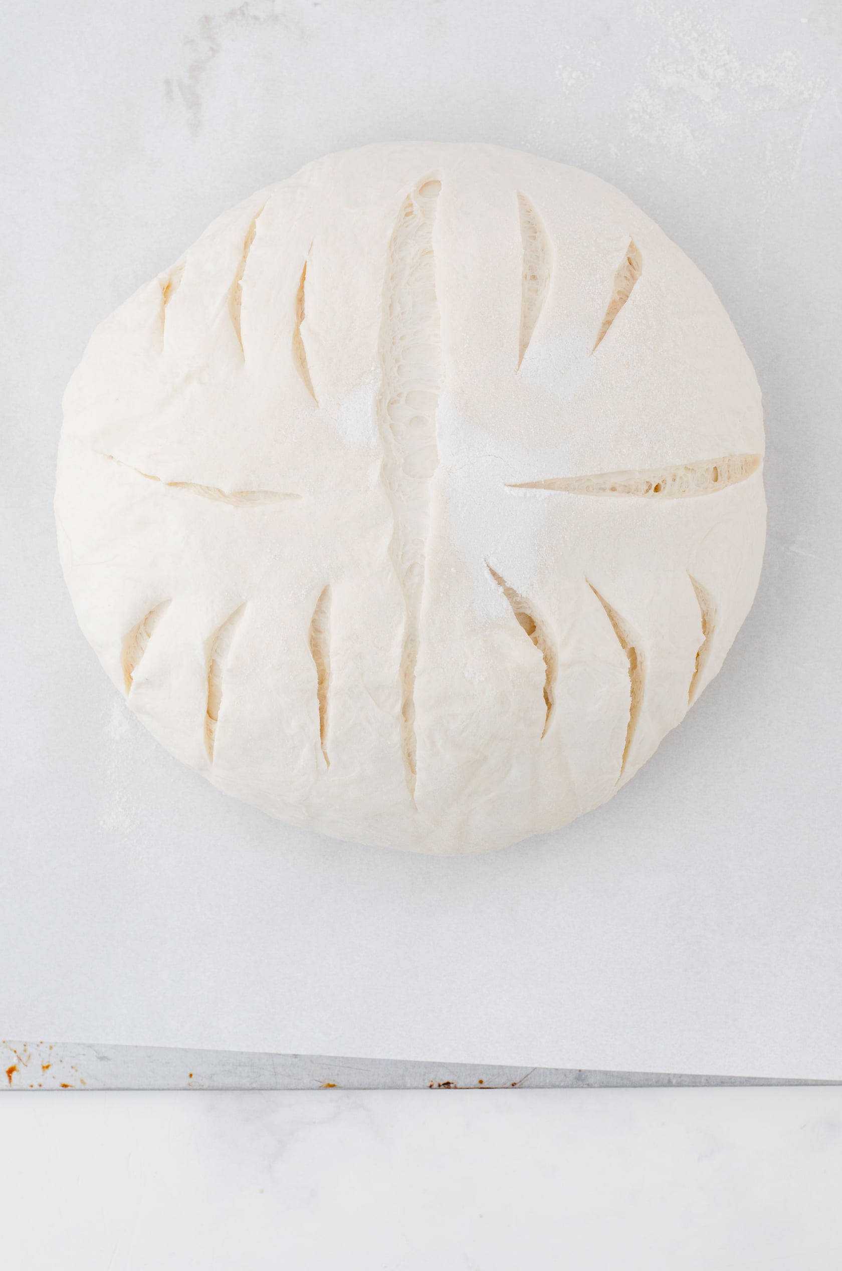 A sourdough bread loaf ready to be placed in a dutch oven to bake.
