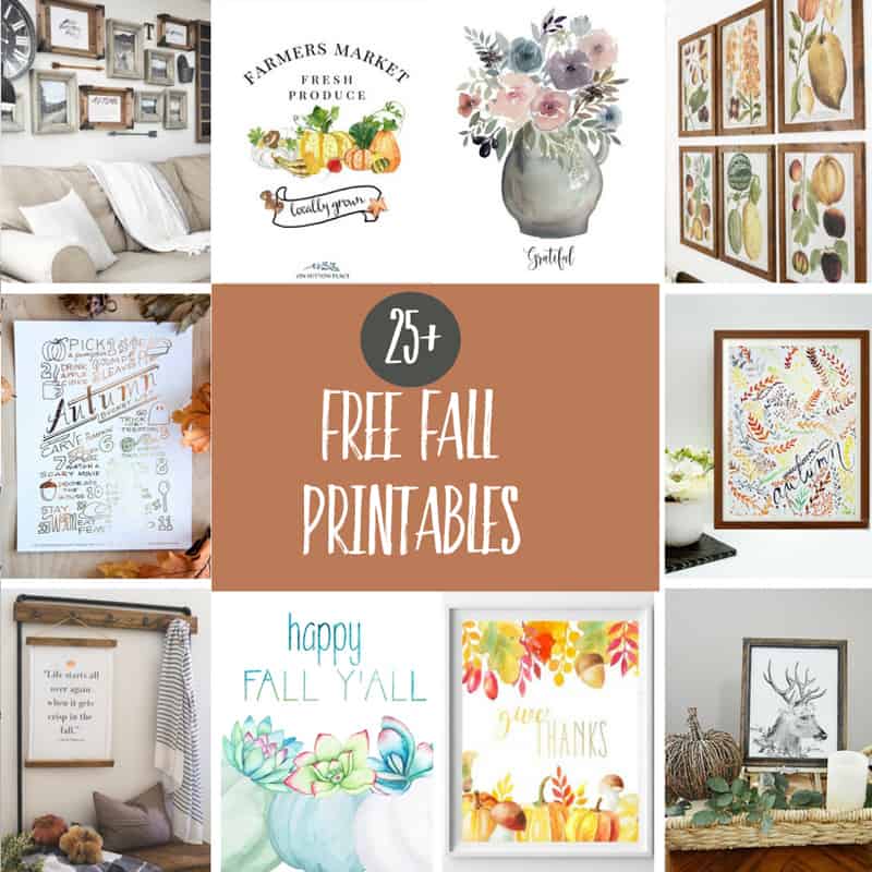Easy Breezy Weekend Reads #6
