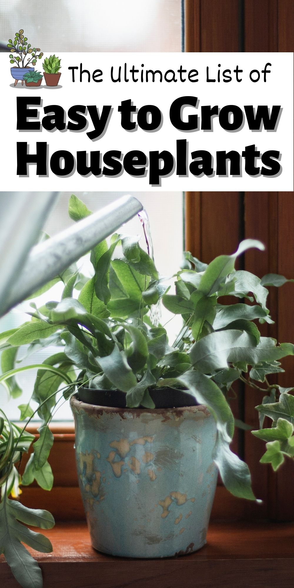 Easy to Grow Houseplants You Can Actually Keep Alive