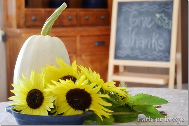 sunflowers